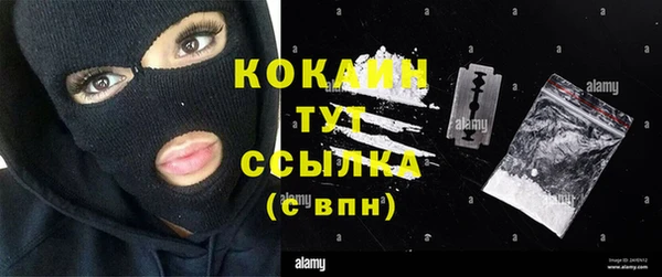 мдпв Няндома