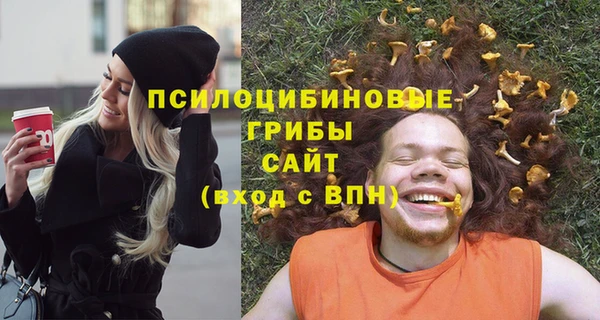 а пвп мука Армянск