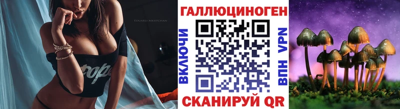 Псилоцибиновые грибы Psilocybe  наркота  Малгобек 